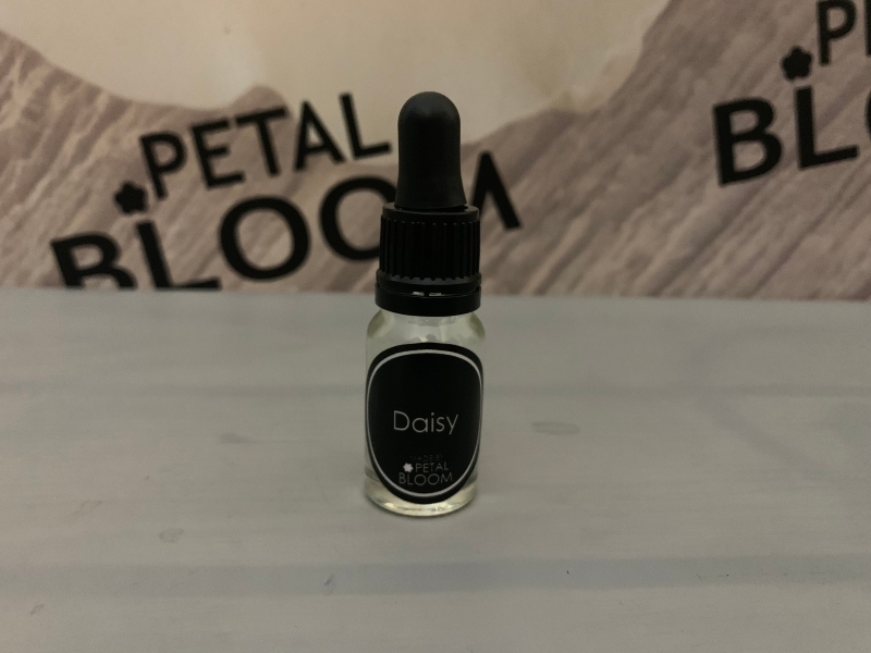 Fragrance Oil Premium Scented