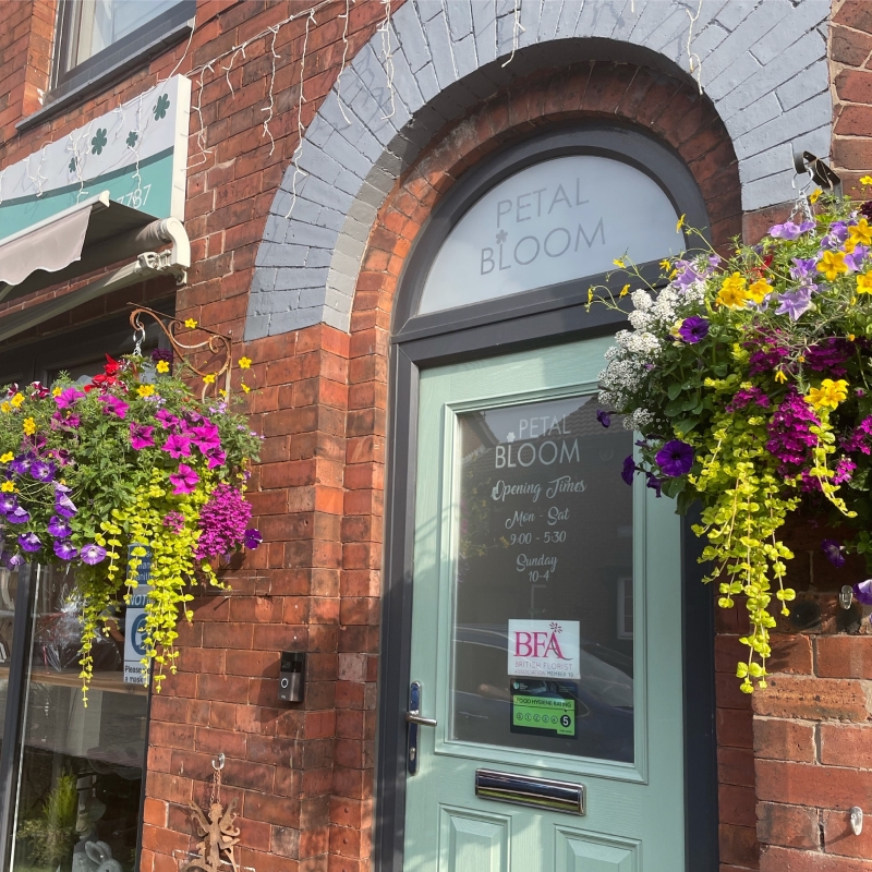 Hanging Baskets buy online or call 0161 900 7787