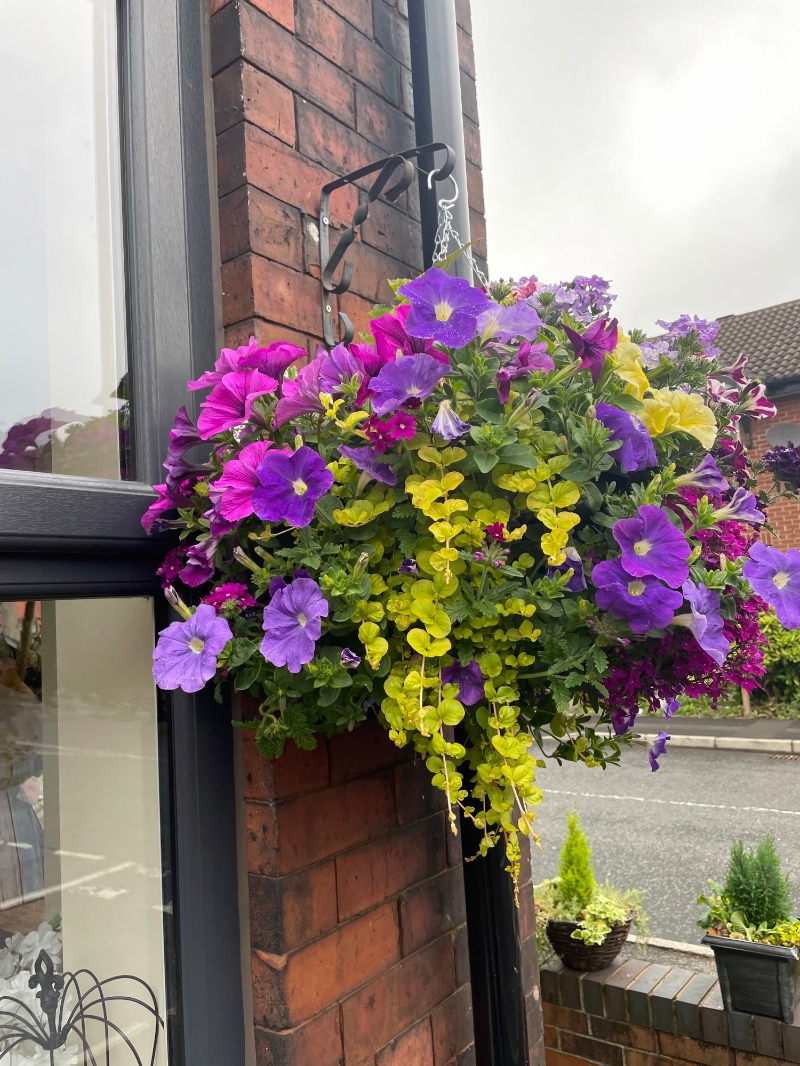Hanging Baskets buy online or call 0161 900 7787