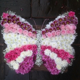 Butterfly Tribute