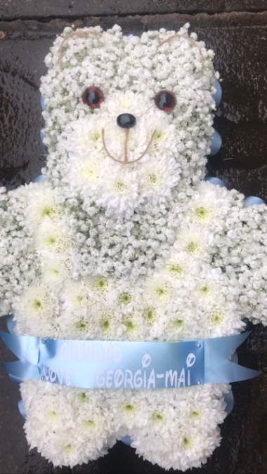 Teddy Tribute